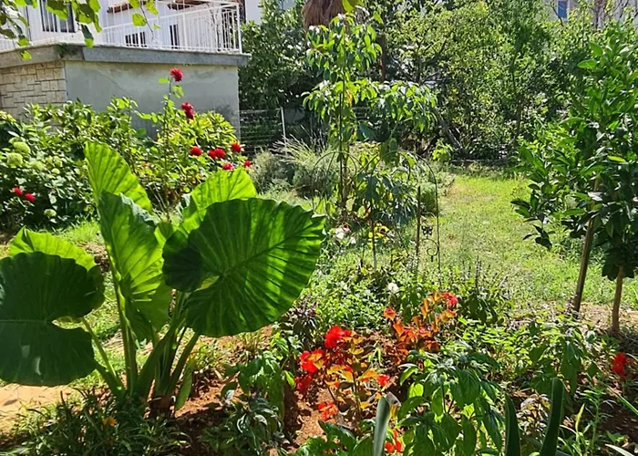 Ada דירה רוביני